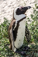 slides/DSC_9463.jpg  